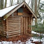 cabanon de forêt sous la neige